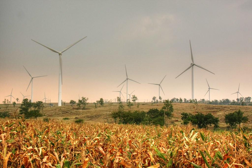 Wind turbines above farmland near Chikodi, Belagavi district